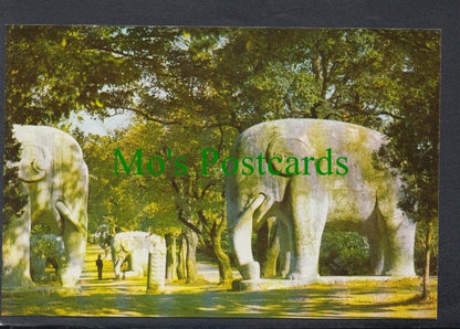 China Postcard - "Stone Elephant", Ming Tomb
