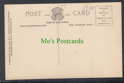 Royalty Postcard - H.R.H.Princess Mary