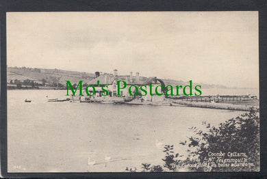 Coombe Cellars, Nr Teignmouth, Devon