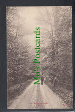 Load image into Gallery viewer, Collipriest Walk, Tiverton, Devon
