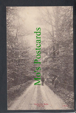 Collipriest Walk, Tiverton, Devon