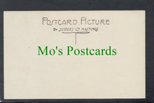 Load image into Gallery viewer, Among The Surrey Hills, Hindhead, Surrey
