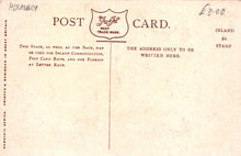 Load image into Gallery viewer, Heraldic Postcard - Newquay - Ja-Ja Heraldic Series - Mo’s Postcards 
