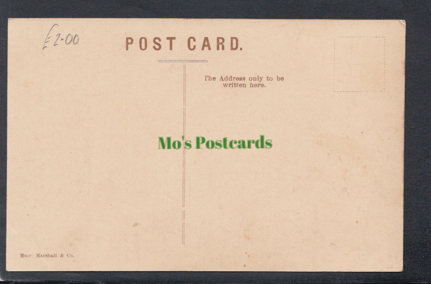 British West Indies Postcard - Rope Tree, Trinidad - Mo’s Postcards 