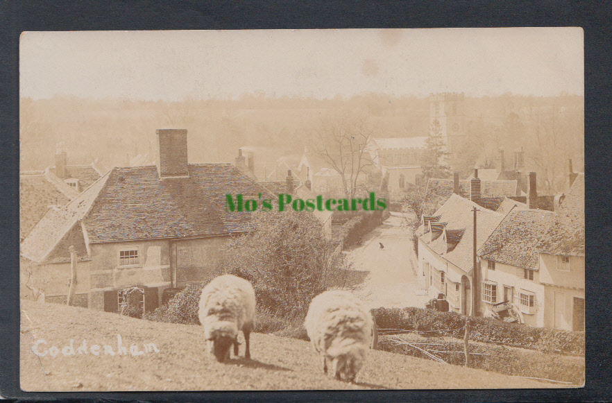 Suffolk Postcard - View of Coddenham Village - Sheep Grazing, 1906 - Mo’s Postcards 
