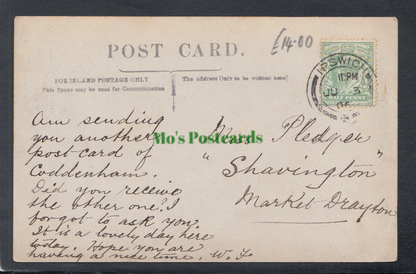 Suffolk Postcard - View of Coddenham Village - Sheep Grazing, 1906 - Mo’s Postcards 