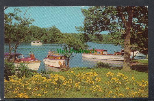 Norfolk Postcard - Salhouse Broad, River Bure, Norfolk Broads - Mo’s Postcards 