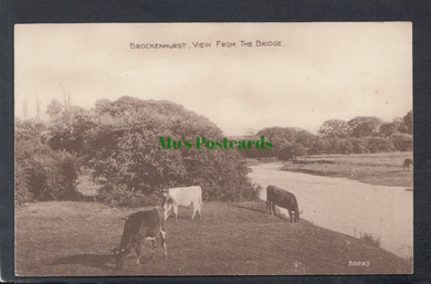 Brockenhurst, Hampshire