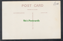 Load image into Gallery viewer, American Actor William Powell
