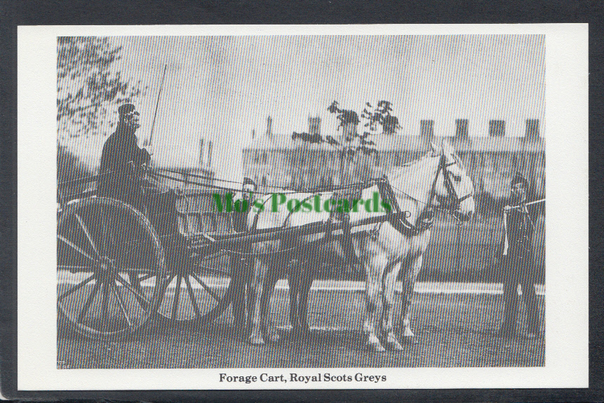 Forage Cart, Royal Scots Greys