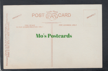 Load image into Gallery viewer, Greetings - Bright Eastertide, Rabbit
