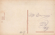 Load image into Gallery viewer, Nature Postcard - Flowers - Pansies - Mo’s Postcards 
