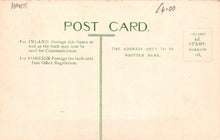 Load image into Gallery viewer, Hampshire Postcard - Crown Hotel, Lyndhurst - Mo’s Postcards 
