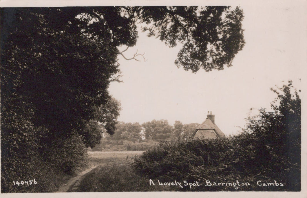 Cambridgeshire Postcard -  A Lovely Spot, Barrington - Mo’s Postcards 