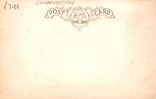 Load image into Gallery viewer, Cambridgeshire Postcard -  A Lovely Spot, Barrington - Mo’s Postcards 
