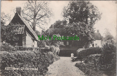 Hall Lane, Great Hormead, Hertfordshire