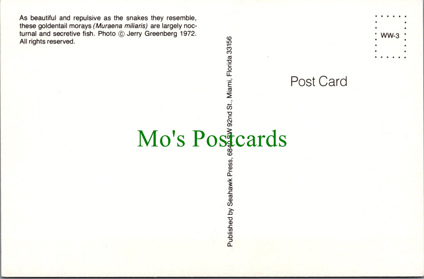Fish Postcard - Goldentail Morays