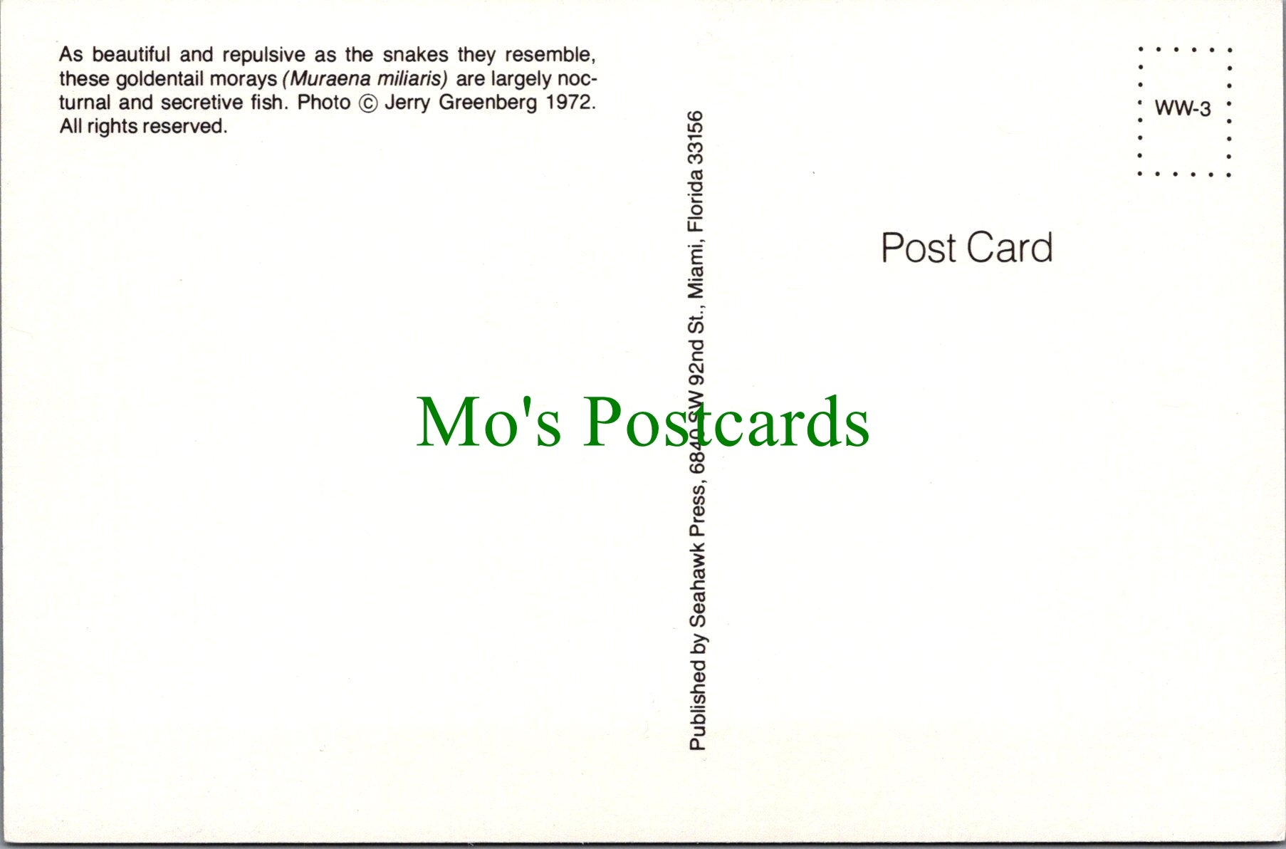 Fish Postcard - Goldentail Morays
