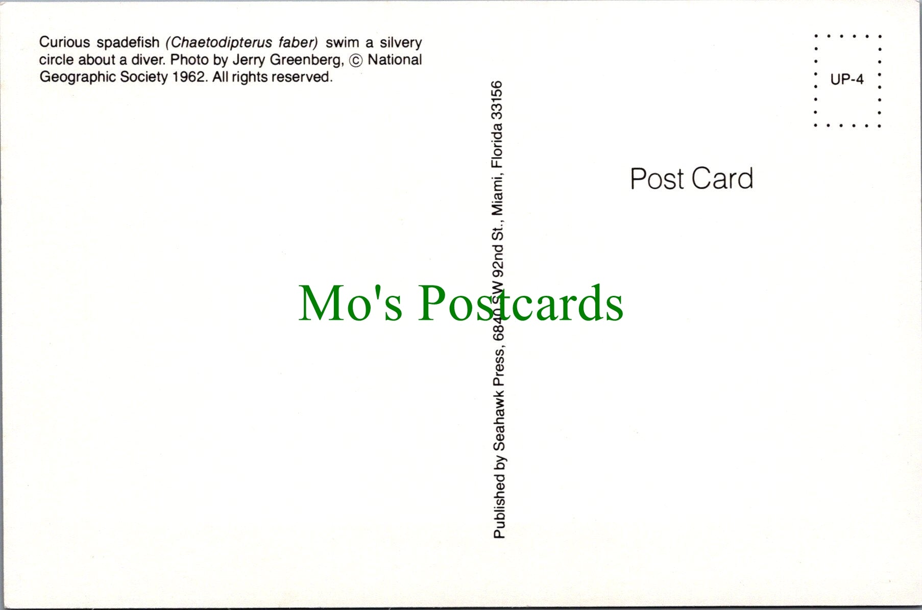 Fish Postcard - Curious Spadefish