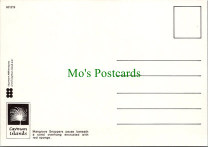 Fish Postcard - Red Snappers