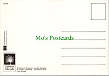 Load image into Gallery viewer, Fish Postcard - Red Snappers
