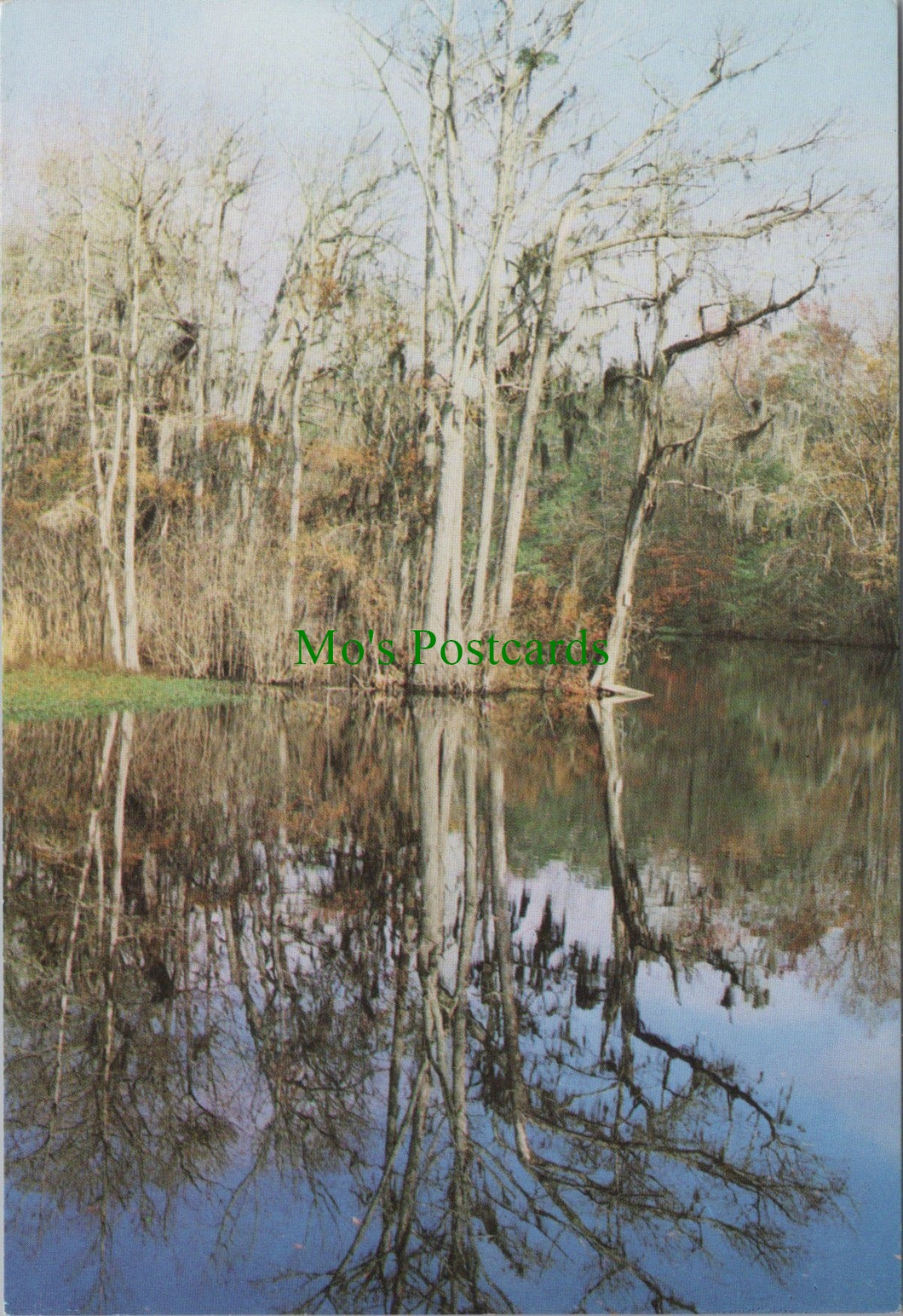 Along The Grand Strand at Myrtle Beach, South Carolina