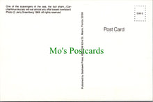 Load image into Gallery viewer, Animals Postcard, The Bull Shark
