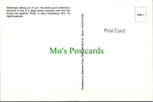 Load image into Gallery viewer, Animals Postcard, White Grunt Fish
