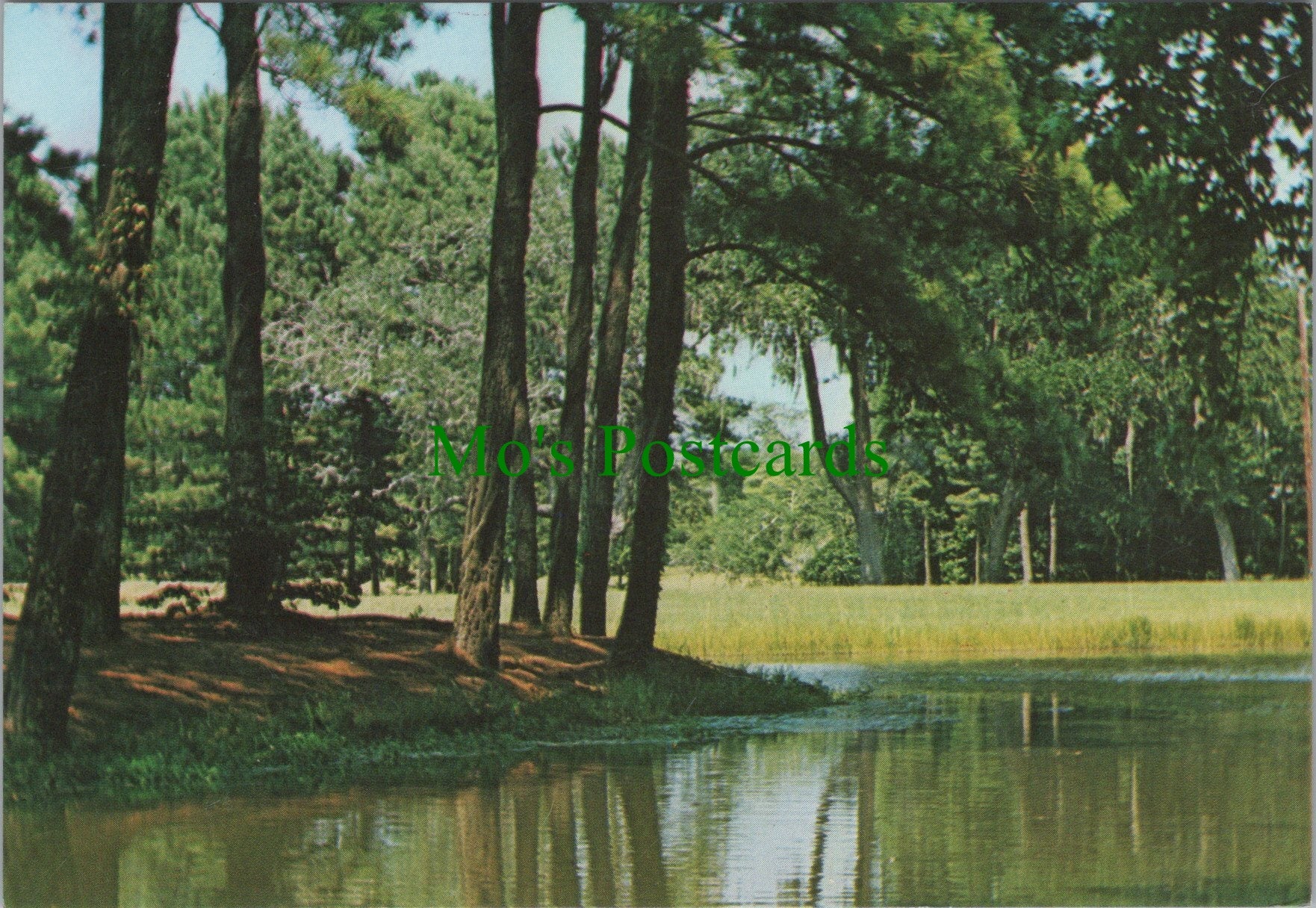 Along The Grand Strand at Myrtle Beach, South Carolina