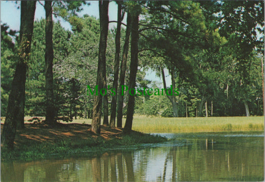 Along The Grand Strand at Myrtle Beach, South Carolina