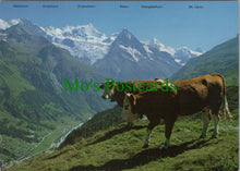 Load image into Gallery viewer, Sorebois s.Zinal, Valais, Switzerland
