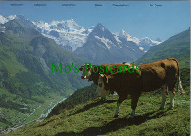 Sorebois s.Zinal, Valais, Switzerland