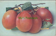 Load image into Gallery viewer, Food Postcard - Fruit - Victoria Plums
