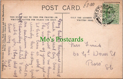 Food Postcard - Fruit - Victoria Plums