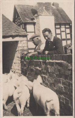 Farming - Pigs and Pig Farming