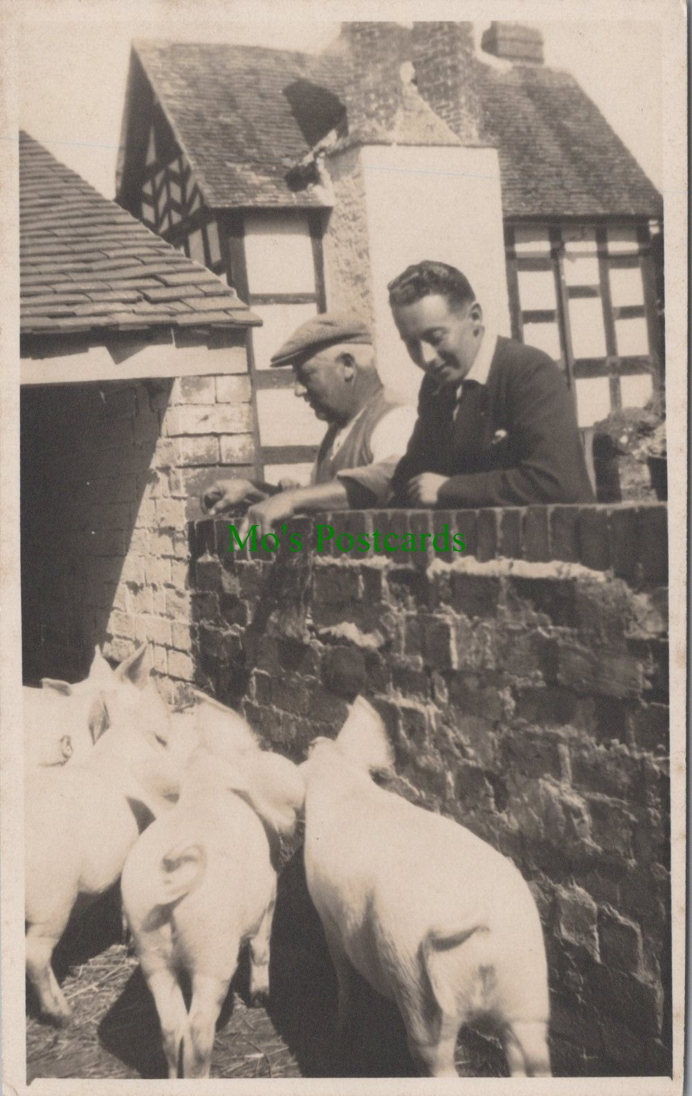 Farming - Pigs and Pig Farming