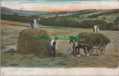 Farming - Rural Life: In The Hayfield