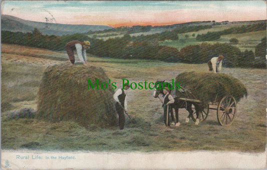 Farming - Rural Life: In The Hayfield