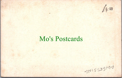 Advertising Postcard - Parrot, Feed on Capern's Parrot Food