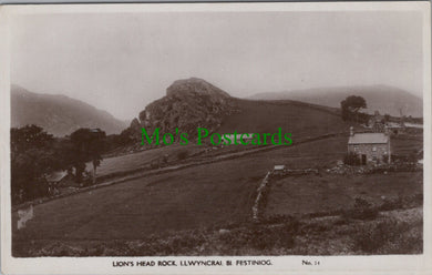 Lion's Head Rock, Llwyncrai. Bi. Festiniog