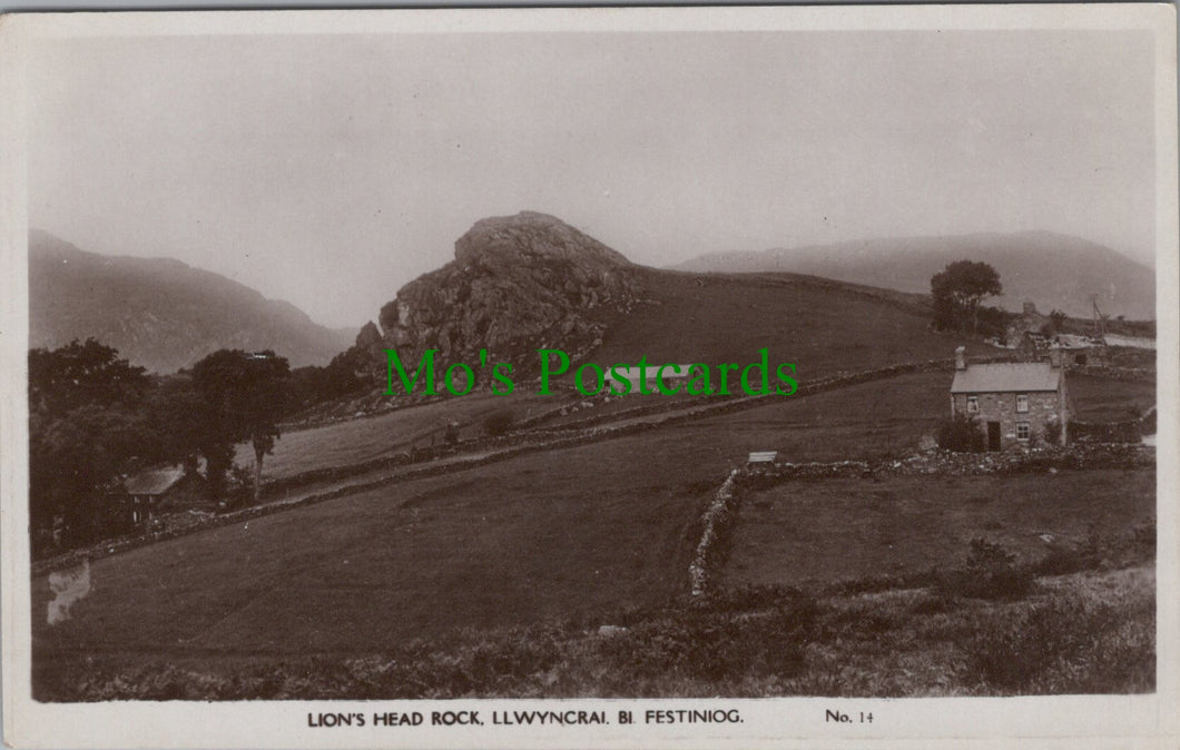 Lion's Head Rock, Llwyncrai. Bi. Festiniog