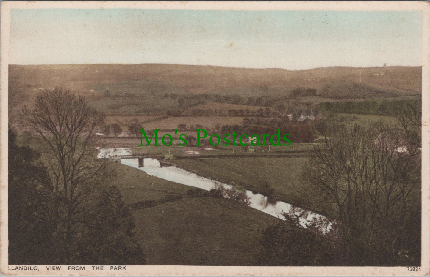 View From The Park, Llandilo
