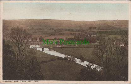 View From The Park, Llandilo