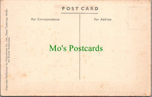 Load image into Gallery viewer, View From The Park, Llandilo
