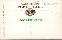 Load image into Gallery viewer, Australian Native Bear, The Koala Bear
