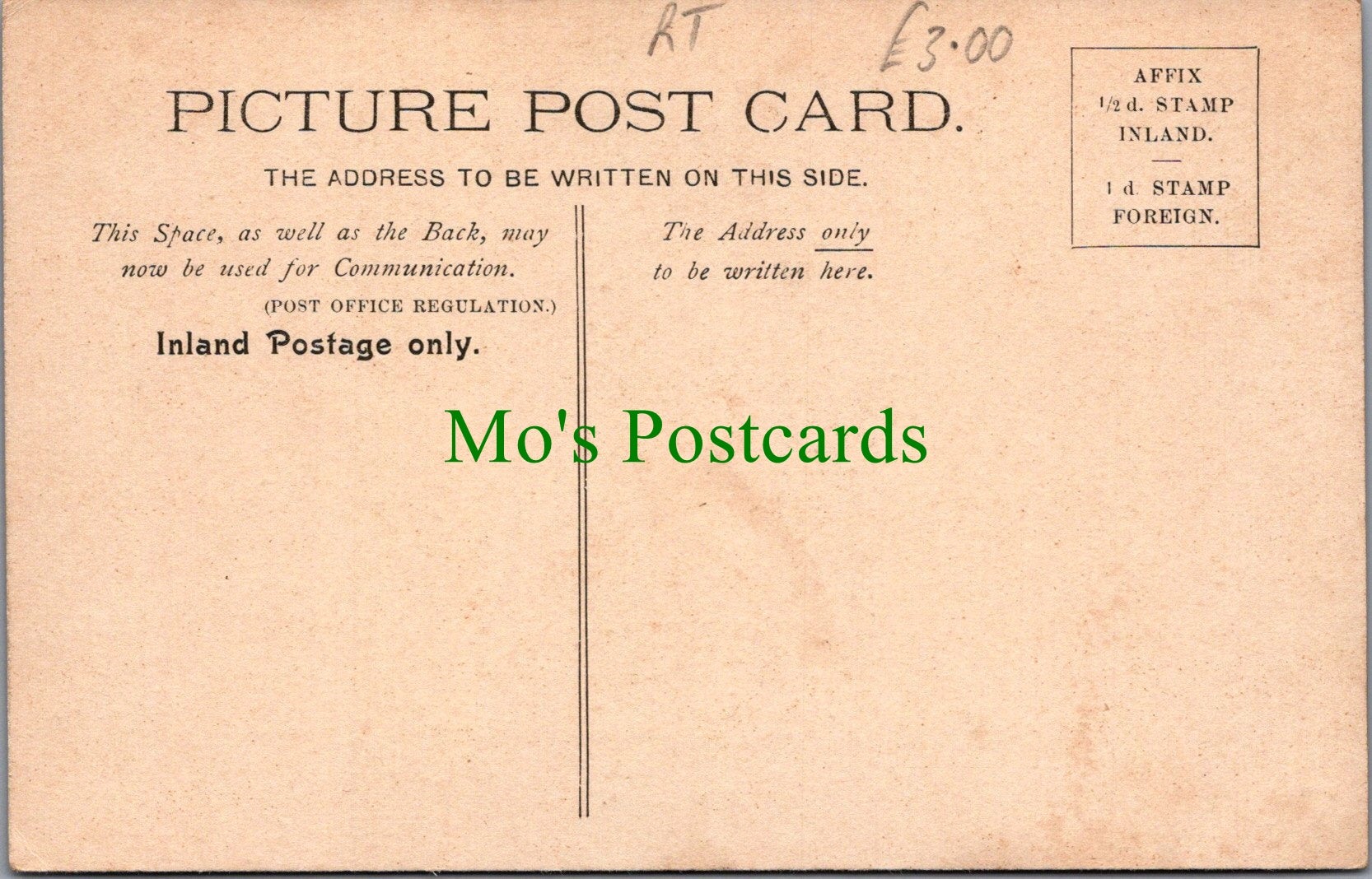 Animals Postcard - Sheep, Lambs - Mint Sauce