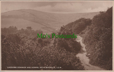 Luccombe Common and Downs, Near Shanklin
