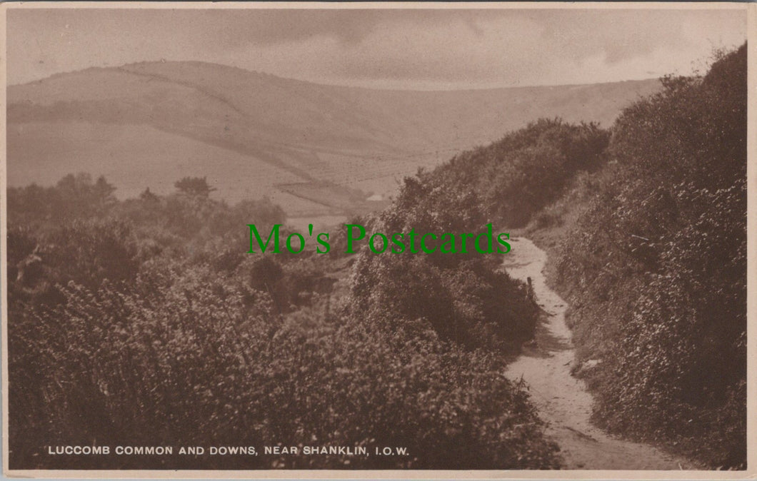 Luccombe Common and Downs, Near Shanklin