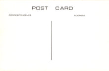 Load image into Gallery viewer, London Postcard - Old Welling - High Street c1914 - Mo’s Postcards 
