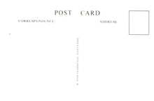 Load image into Gallery viewer, Kent Postcard - K.&amp;.E.S.R.&quot;Maunsell&quot; Storms Into Rolvenden Yard in 1972 - Mo’s Postcards 
